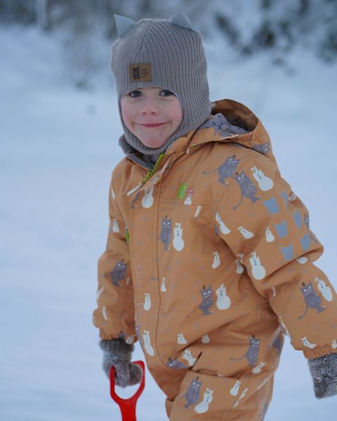 Kattnakken , parkdress snø honning